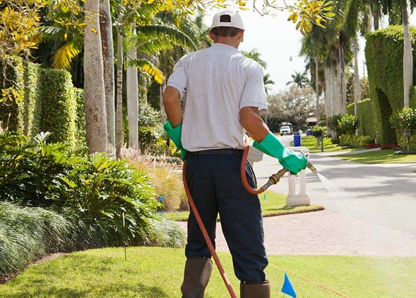 About Wilson TX Pest Control